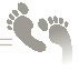 wpbfbb7264_0f.jpg